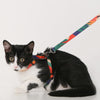 Pidan Harness & Leash Set For Cats - Kohepets
