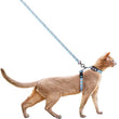 Pidan Harness & Leash Set For Cats (Dotty)