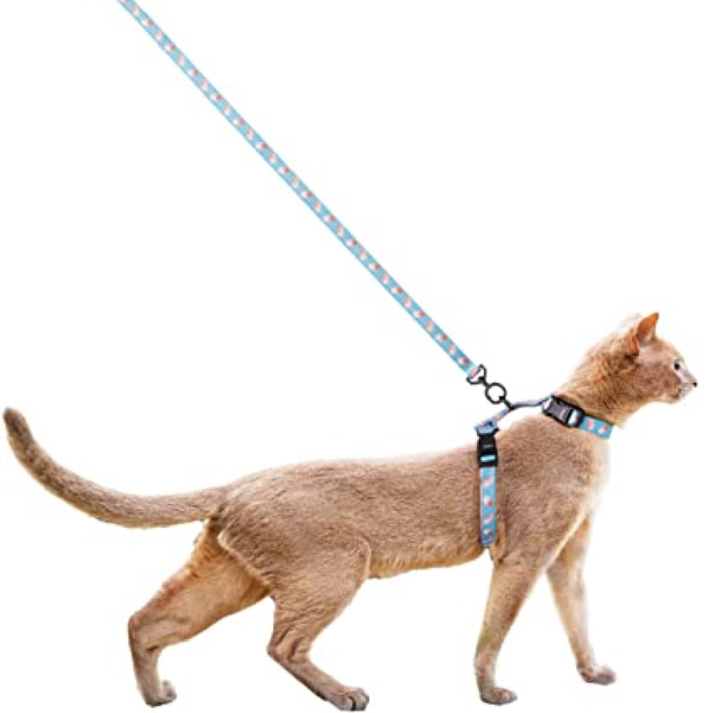 Pidan Harness & Leash Set For Cats (Dotty)