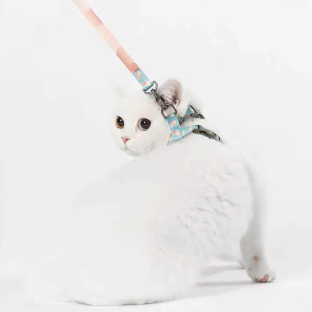 Pidan Harness & Leash Set For Cats (Dotty)
