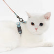 Pidan Harness & Leash Set For Cats (Dotty)