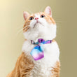 Pidan Necktie Cat Collar - Kohepets