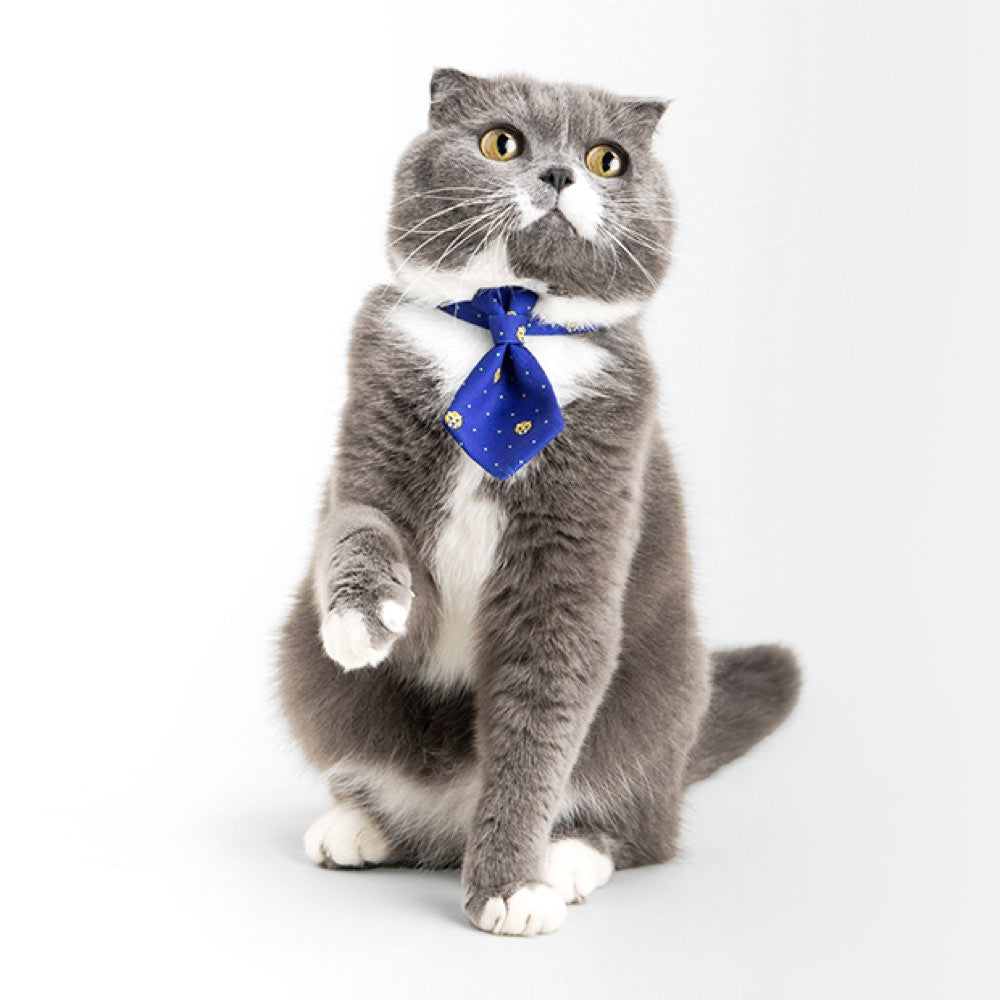 Pidan Necktie Cat Collar - Kohepets