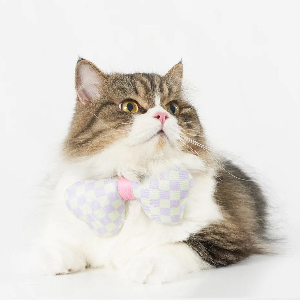 Pidan Plushy Cat Collar (Puffy Bow)