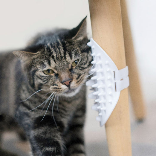 Pidan Self-Grooming Cat Brush - Kohepets
