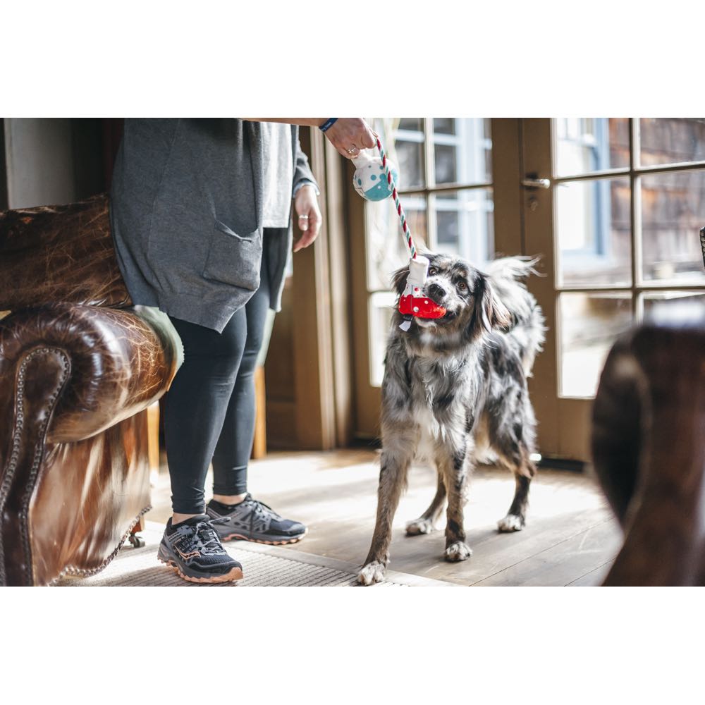 PLAY Back to School Barking Beakers Plush Dog Toy - Kohepets