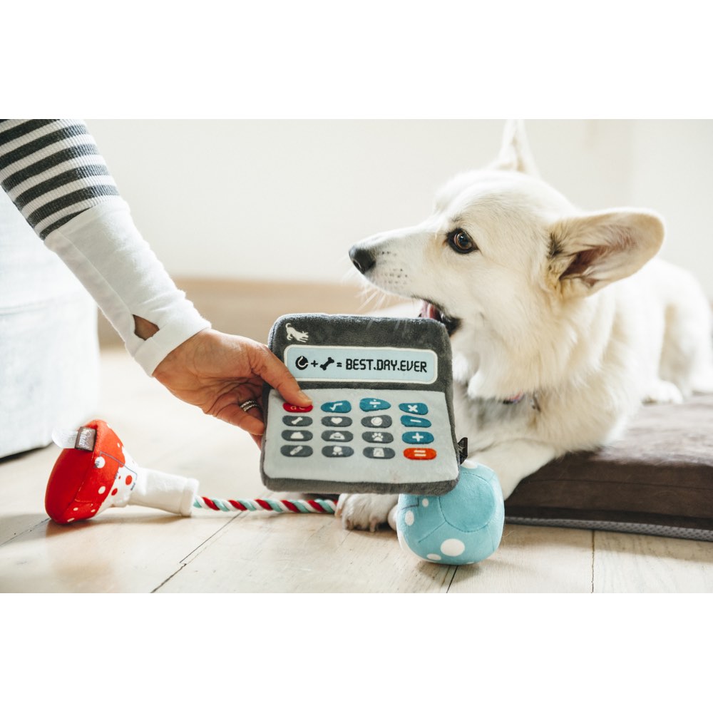 PLAY Back to School Doggie Digits Calculator Plush Dog Toy - Kohepets