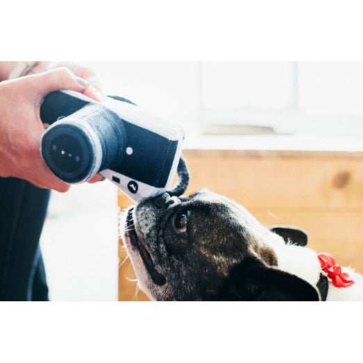 PLAY Globetrotter Lens Licker Camera Plush Dog Toy - Kohepets