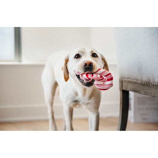 PLAY Holiday Classic Cheerful Candy Canes Plush Dog Toy - Kohepets