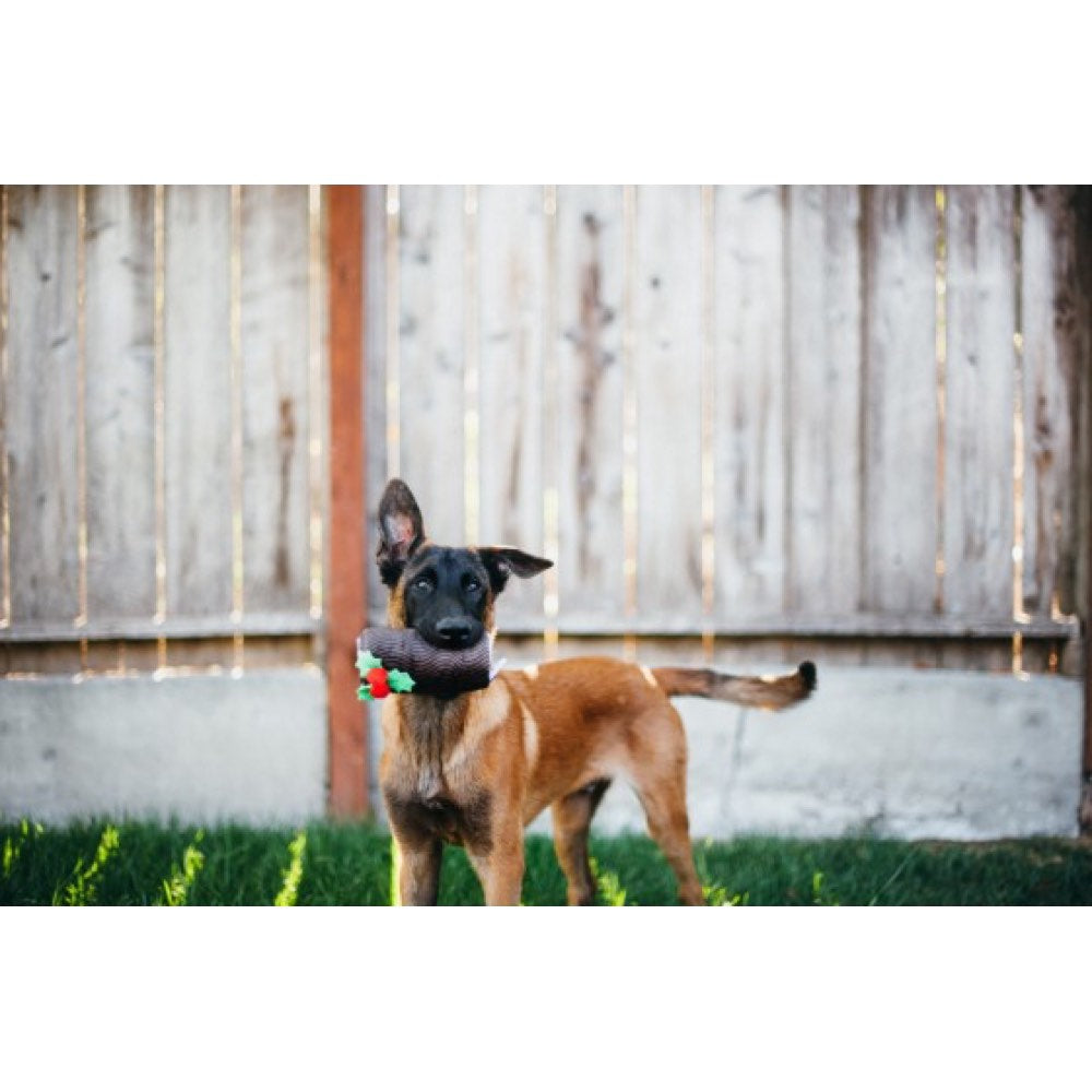 PLAY Holiday Classic Yummy Yuletide Log Plush Dog Toy - Kohepets