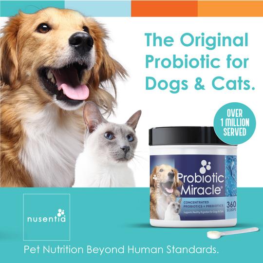 Nusentia Probiotic Miracle Supplement for Dogs and Cats - Kohepets