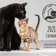 Project Luni Kitten Calendar 2021 - Kohepets