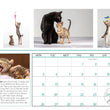 Project Luni Kitten Calendar 2021 - Kohepets