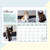 Project Luni Kitten Calendar 2023