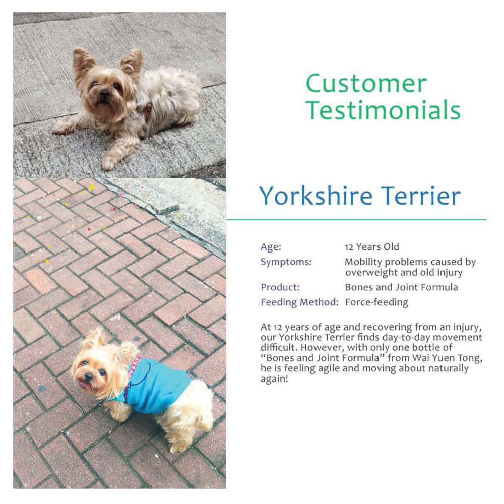 ProVet Bones & Joints Formula Dog Supplements - Kohepets