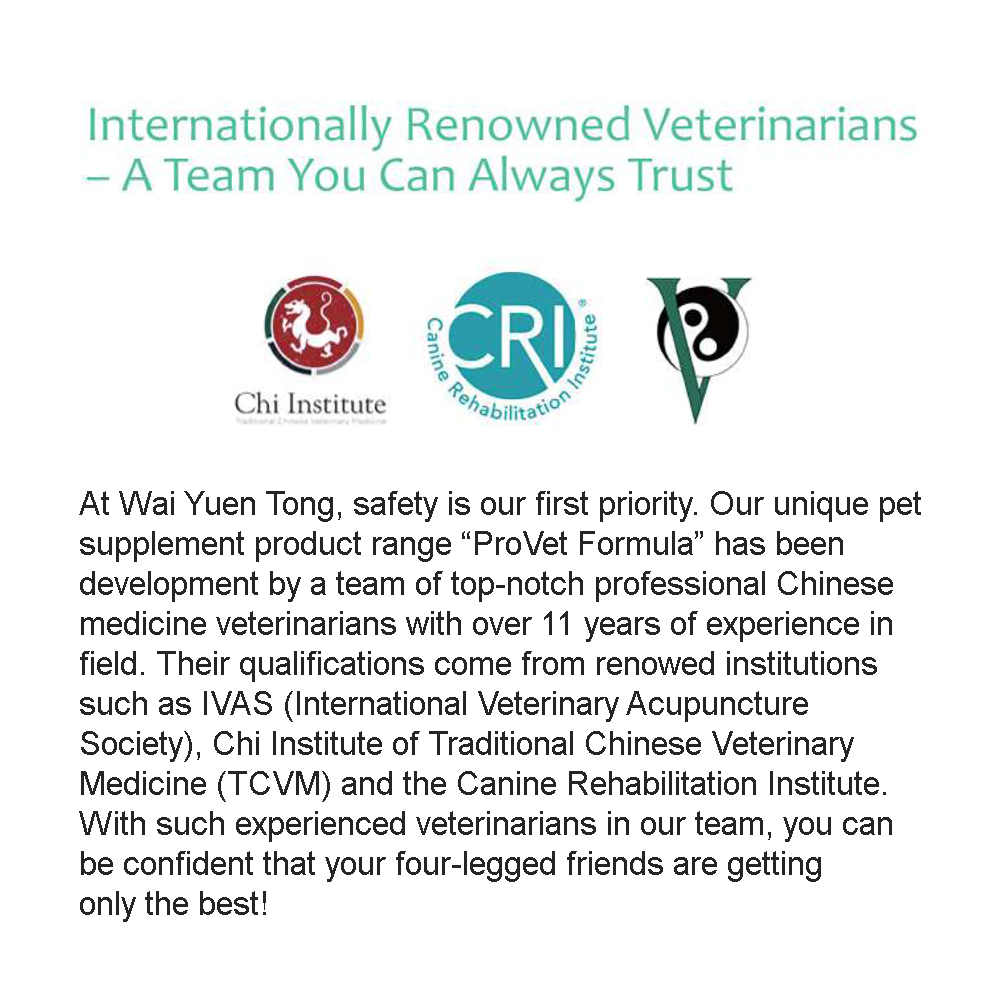 ProVet Respiratory Health Formula Dog Supplements - Kohepets