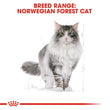 Royal Canin Norwegian Forest Cat Adult 2kg - Kohepets
