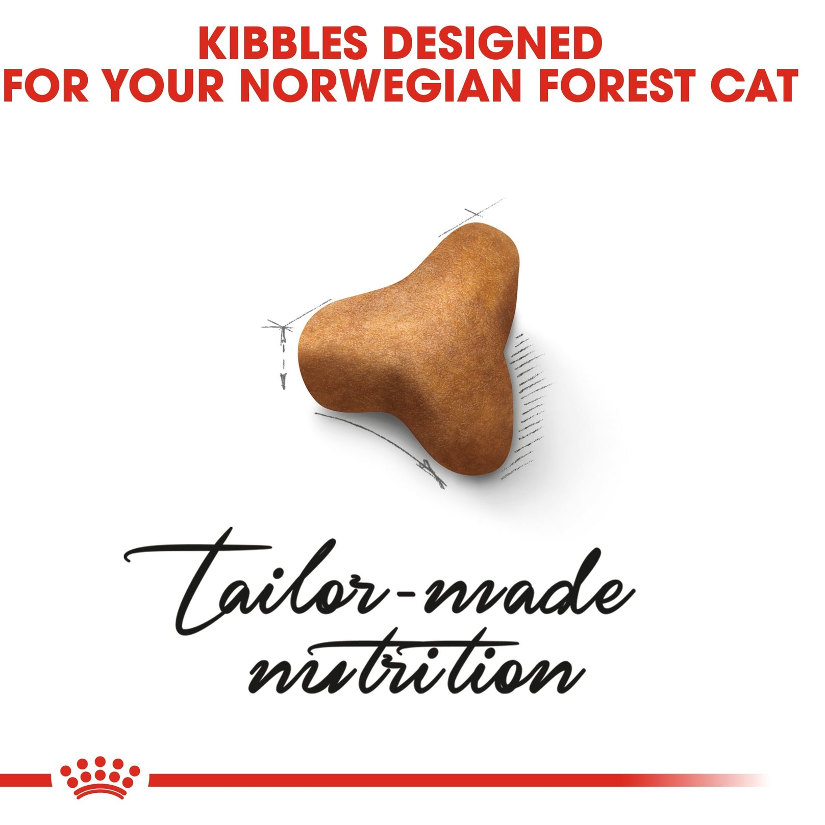Royal Canin Norwegian Forest Cat Adult 2kg - Kohepets