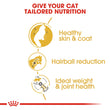 Royal Canin Norwegian Forest Cat Adult 2kg - Kohepets