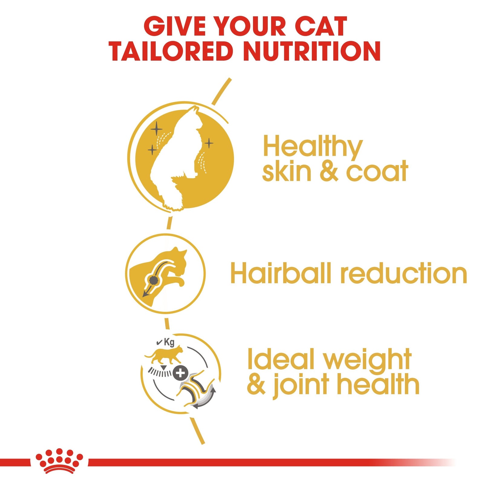 Royal Canin Norwegian Forest Cat Adult 2kg - Kohepets