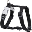 Red Dingo Classic Dog Harness 12mm - Kohepets
