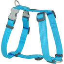 Red Dingo Classic Dog Harness 12mm