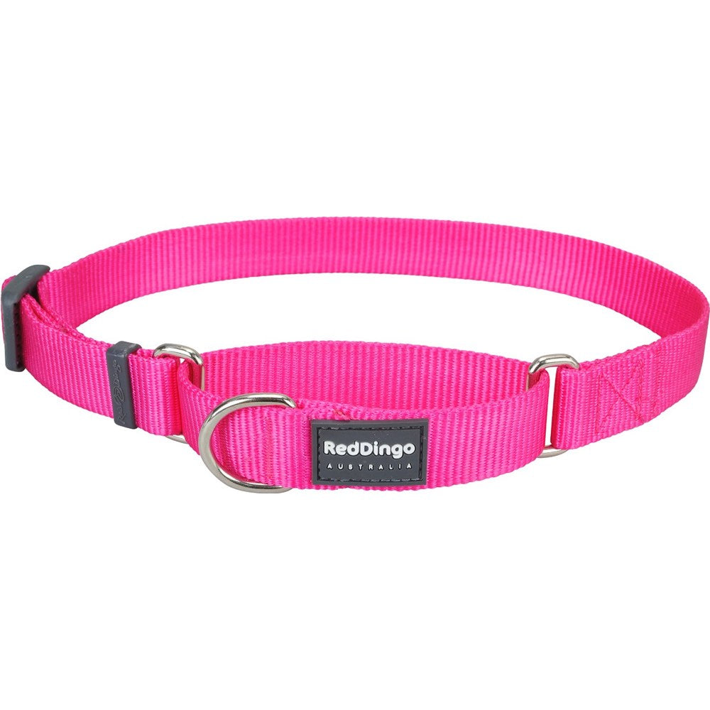 Red Dingo Classic Martingale Dog Collar 25mm - Kohepets