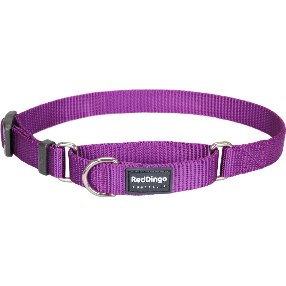 Red Dingo Classic Martingale Dog Collar 25mm - Kohepets