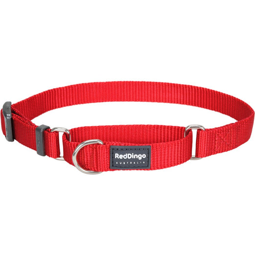 Red Dingo Classic Martingale Dog Collar 15mm - Kohepets