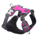 Red Dingo Padded Dog Harness (Extra-Small)