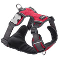 Red Dingo Padded Dog Harness (Medium) - Kohepets