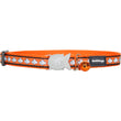 Red Dingo Reflective Cat Collar - Kohepets