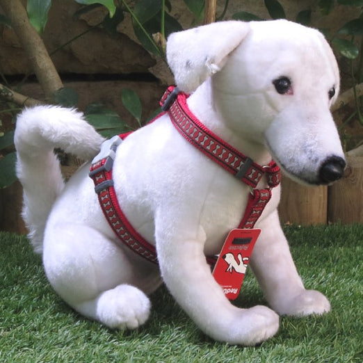 Red Dingo Reflective Dog Harness - Large - Kohepets