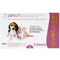 Revolution For Puppies & Kittens Up To 2.5kg 3ct - Kohepets