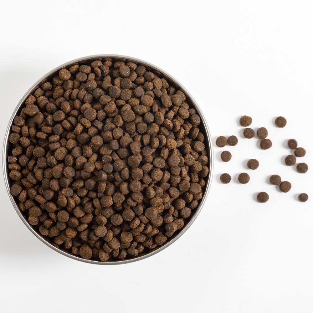 Riplee's Ranch Fresh Ocean Fish Grain-Free Dry Dog Food 4lb