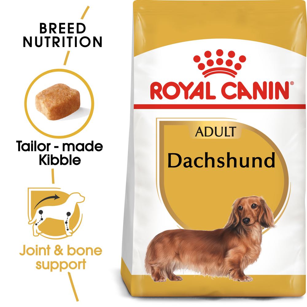 Royal Canin Breed Health Nutrition Dachshund Dry Dog Food 1.5kg - Kohepets