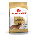 Royal Canin Breed Health Nutrition Dachshund Dry Dog Food 1.5kg - Kohepets