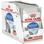 Royal Canin Indoor in GRAVY Adult Pouch Cat Food 85g x 12