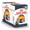 Royal Canin Feline Health Nutrition Intense Beauty Pouch Cat Food 85g - Kohepets