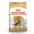 Royal Canin Dog German Shepherd Adult Dry Food 11kg - Kohepets