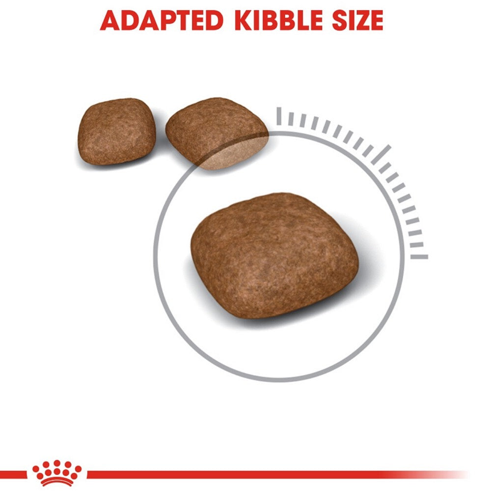 Royal Canin Urinary Care Dry Cat Food - Kohepets