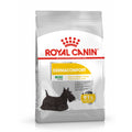 Royal Canin Mini Dermacomfort 26 Dry Dog Food - Kohepets