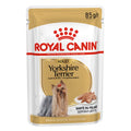 Royal Canin Yorkshire Terrier Adult Pouch Dog Food 85g - Kohepets