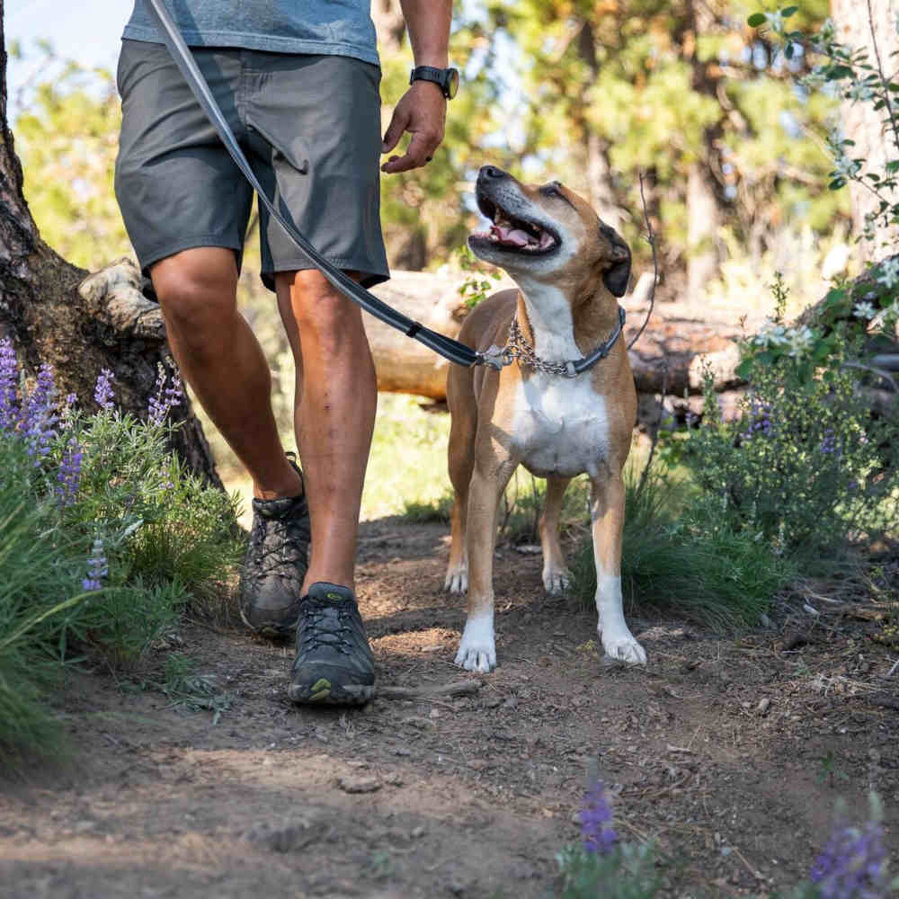 Ruffwear Chain Reaction Reflective Martingale Dog Collar (Blue Dusk) - Kohepets