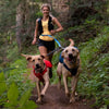 Ruffwear Double Track 2-Dog Bungee Dog Leash Coupler - Kohepets