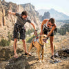 Ruffwear Doubleback Full Body Safety Dog Harness - Kohepets