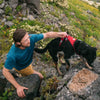 Ruffwear Flagline Lightweight No-Pull Handled Dog Harness (Red Rock) - Kohepets