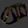 Ruffwear Flagline Lightweight No-Pull Handled Dog Harness (Lichen Green)