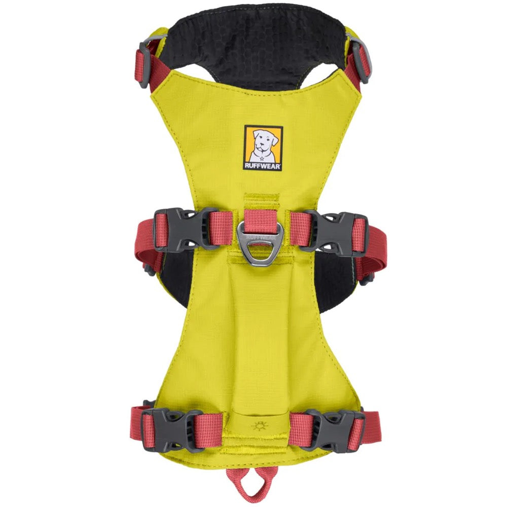 KOHE-VERSARY 10% OFF: Ruffwear Flagline Lightweight No-Pull Handled Dog Harness (Lichen Green)