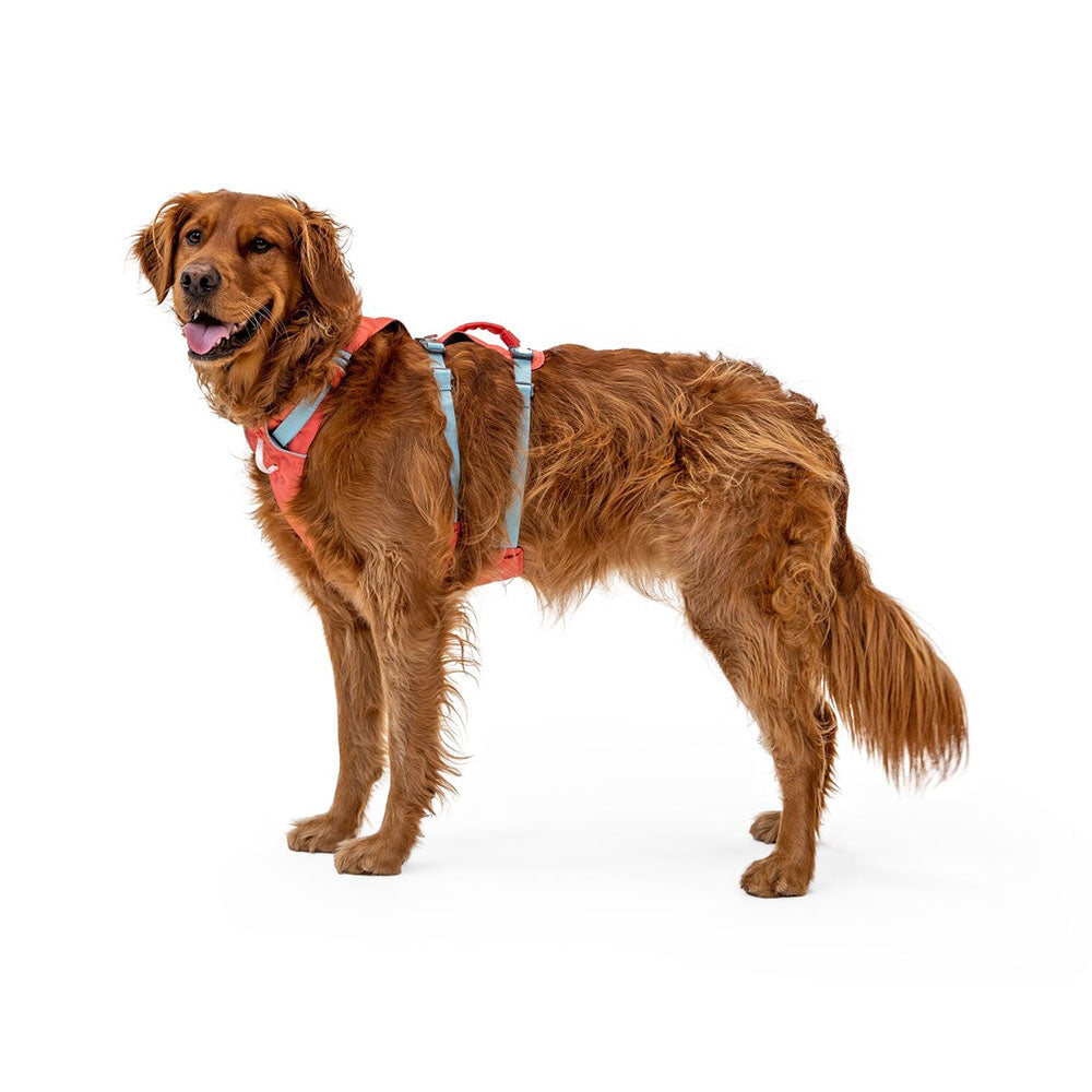 KOHE-VERSARY 10% OFF: Ruffwear Flagline Lightweight No-Pull Handled Dog Harness (Salmon Pink)